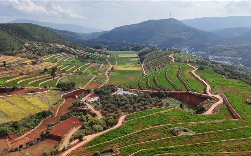 三时而立 我为集团绘新篇丨三周年征文大赛优异作品展（五）