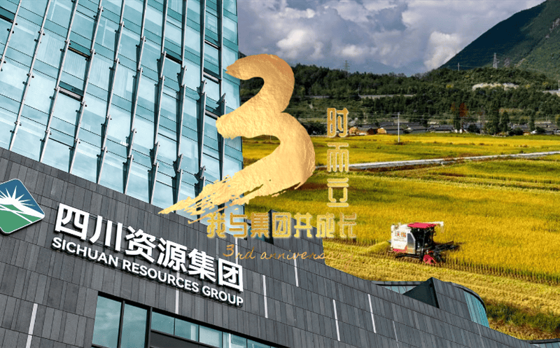 三时而立 我与集团共生长丨土地集团刷新生长成绩综述