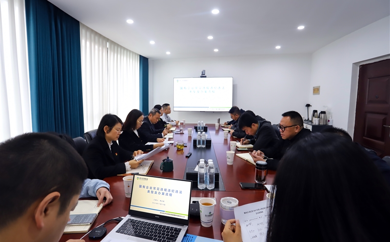 攀西公司纪委举行纪检干部办案基础营业知识专题培训