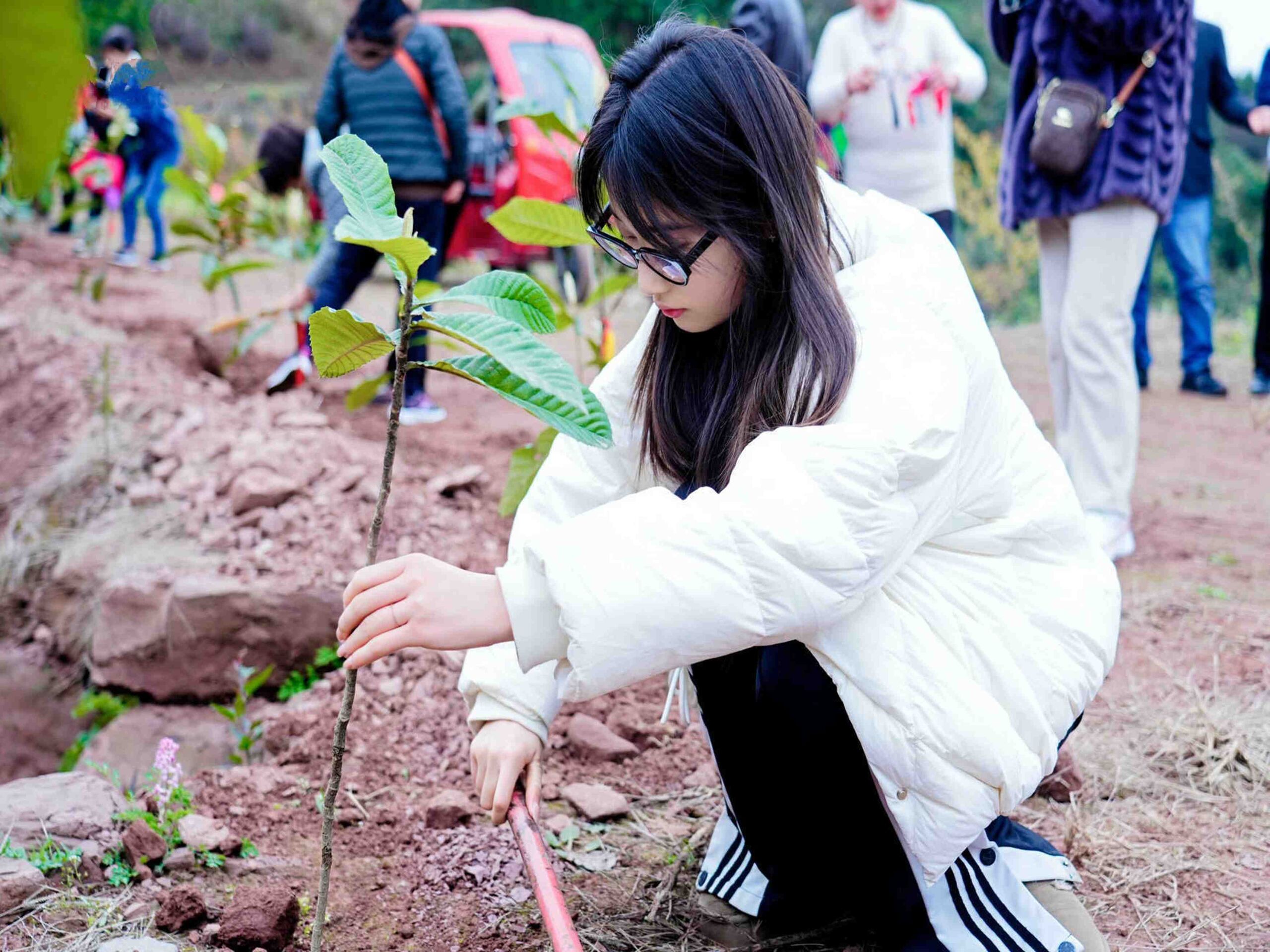地下空间院植树活动7