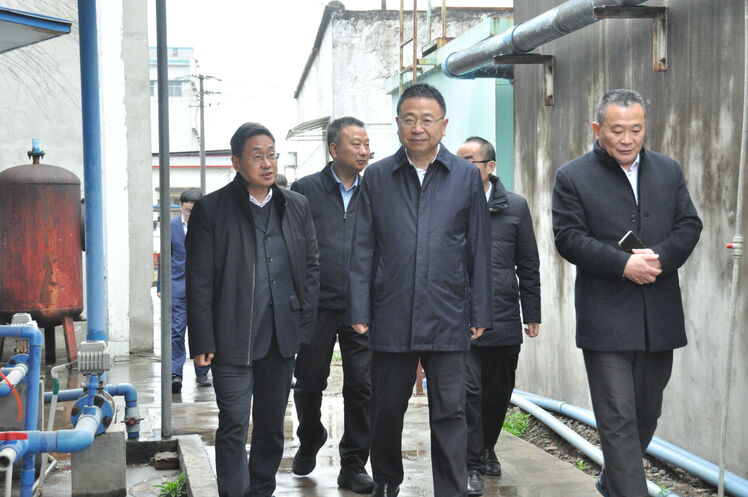 集团向导到泰华堂制药督导检查清静生产事情