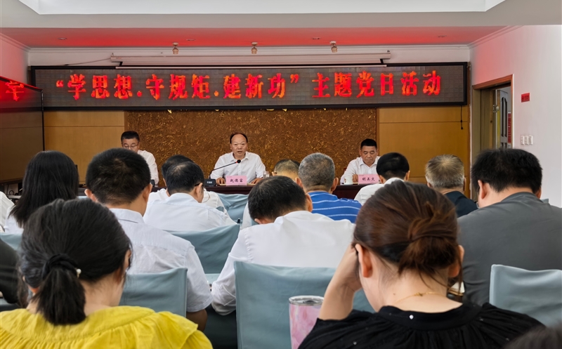 测绘公司党委召开“学头脑·守规则·建新功”主题党日活动