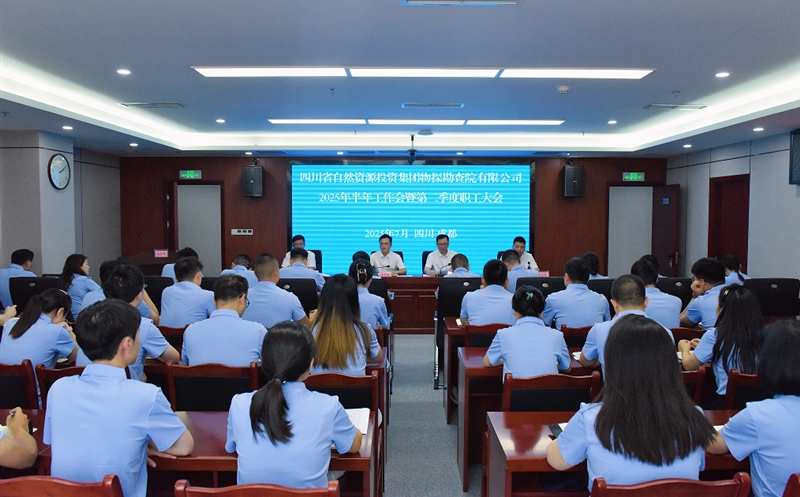 物探院召开2025年半年岁情会暨第二季度职工大会