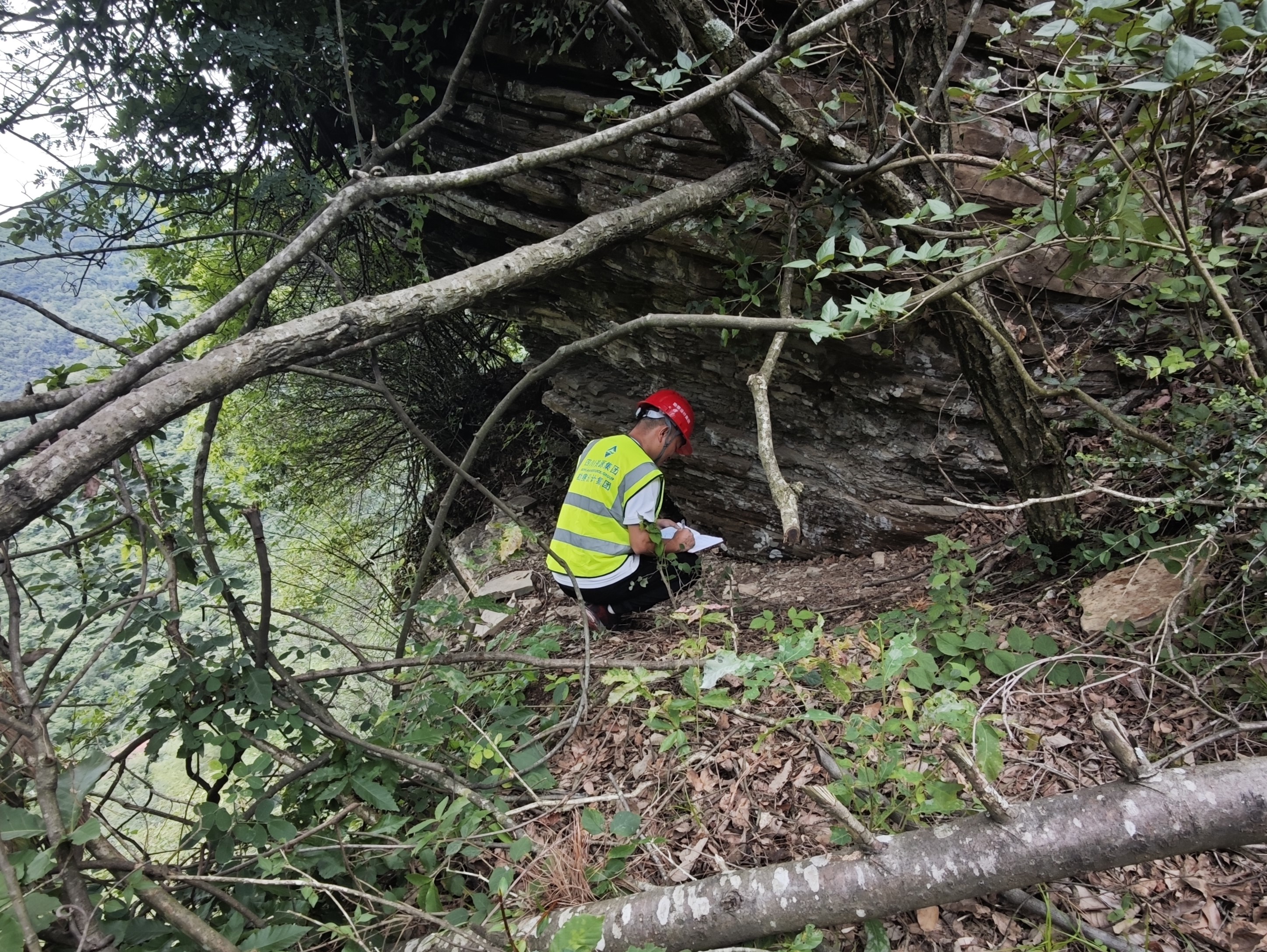 微信图片_2025-08-12_160440_664