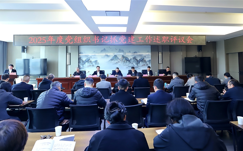 攀西公司召开2025年度党组织书记抓党建事情述职评议会