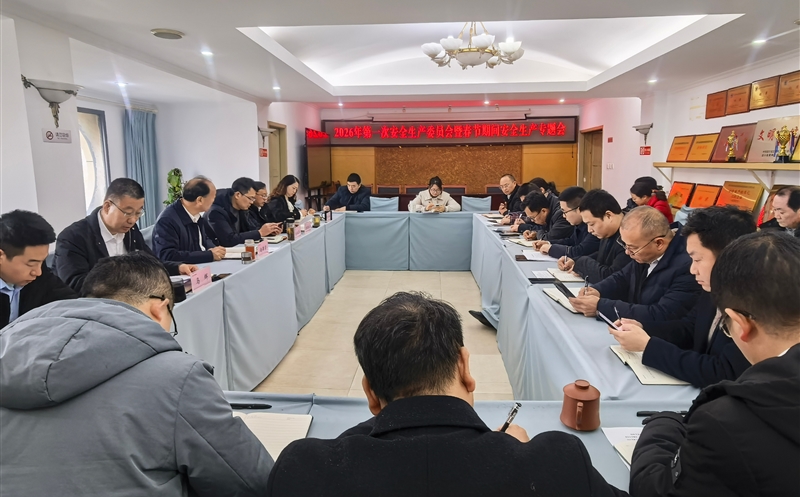严守清静防线，，，，平安喜迎新年——测绘公司召开2026年第一次安委会暨春节时代清静生产专题会