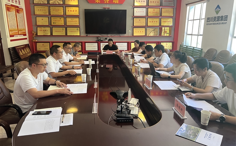 国家税务总局驻西安特派员服务处督导组赴鑫顺矿业下属青羊矿业调研督导税务合规事情