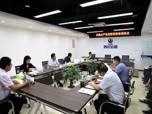 中共四川省冶勘物流有限公司支部委员会 召开周全从严治党催促检查现场会_协同多元工业_工业生长_尊时凯龙有限责任公司