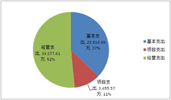 2019年度四川省冶金地质勘查局部分决算_财务预决算_信息果真_尊时凯龙有限责任公司