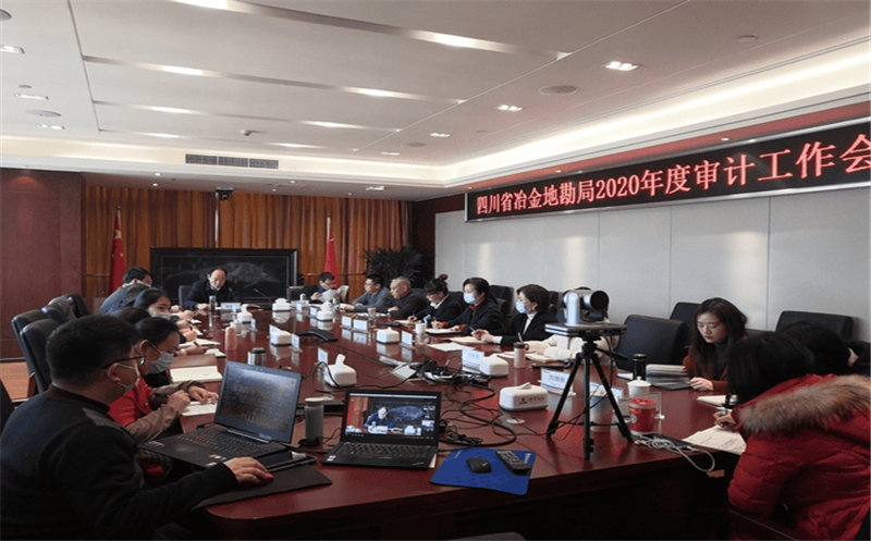 局召开2020年度审计事情会