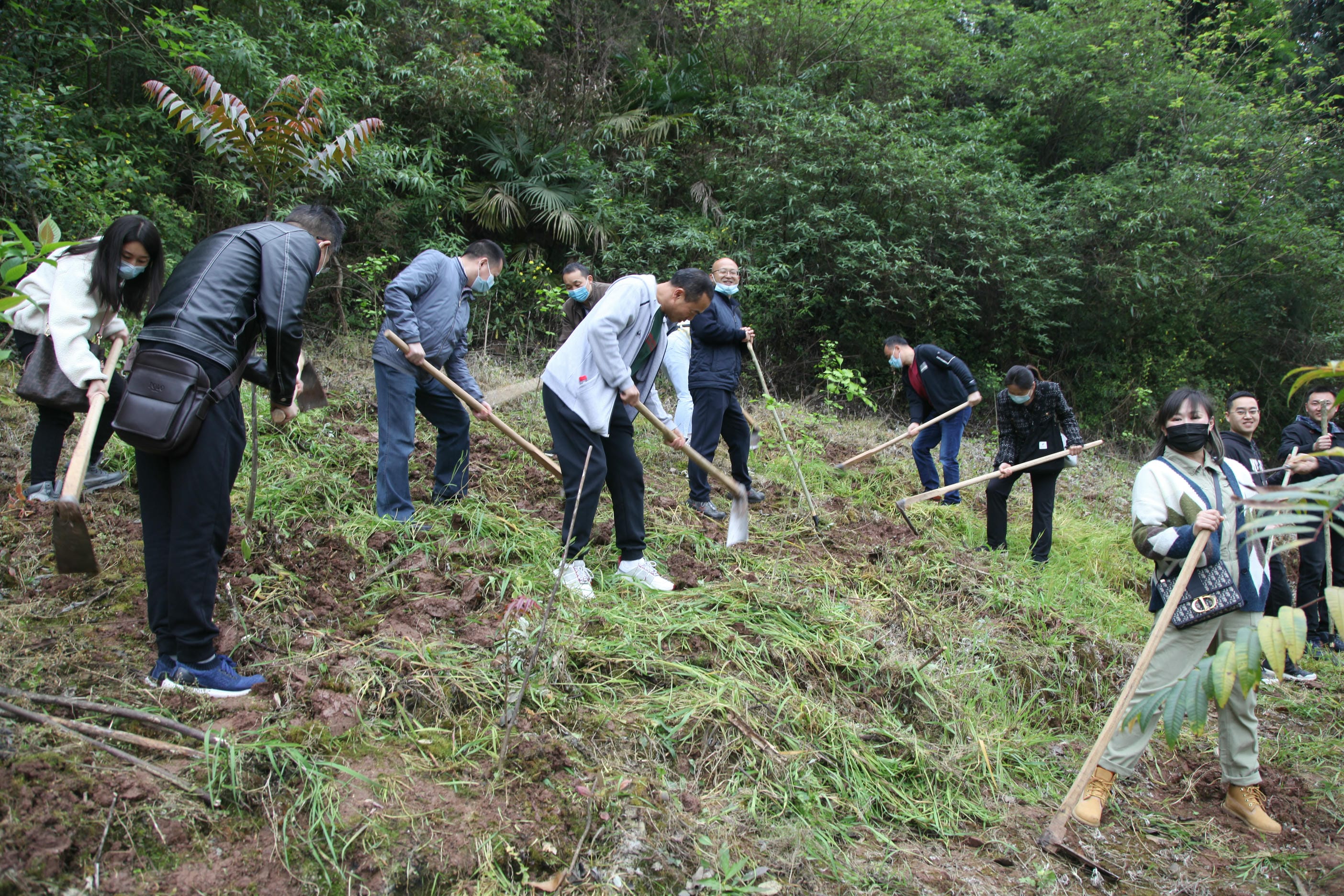 尊时凯龙·Z6(中国区)人生就是拼搏!