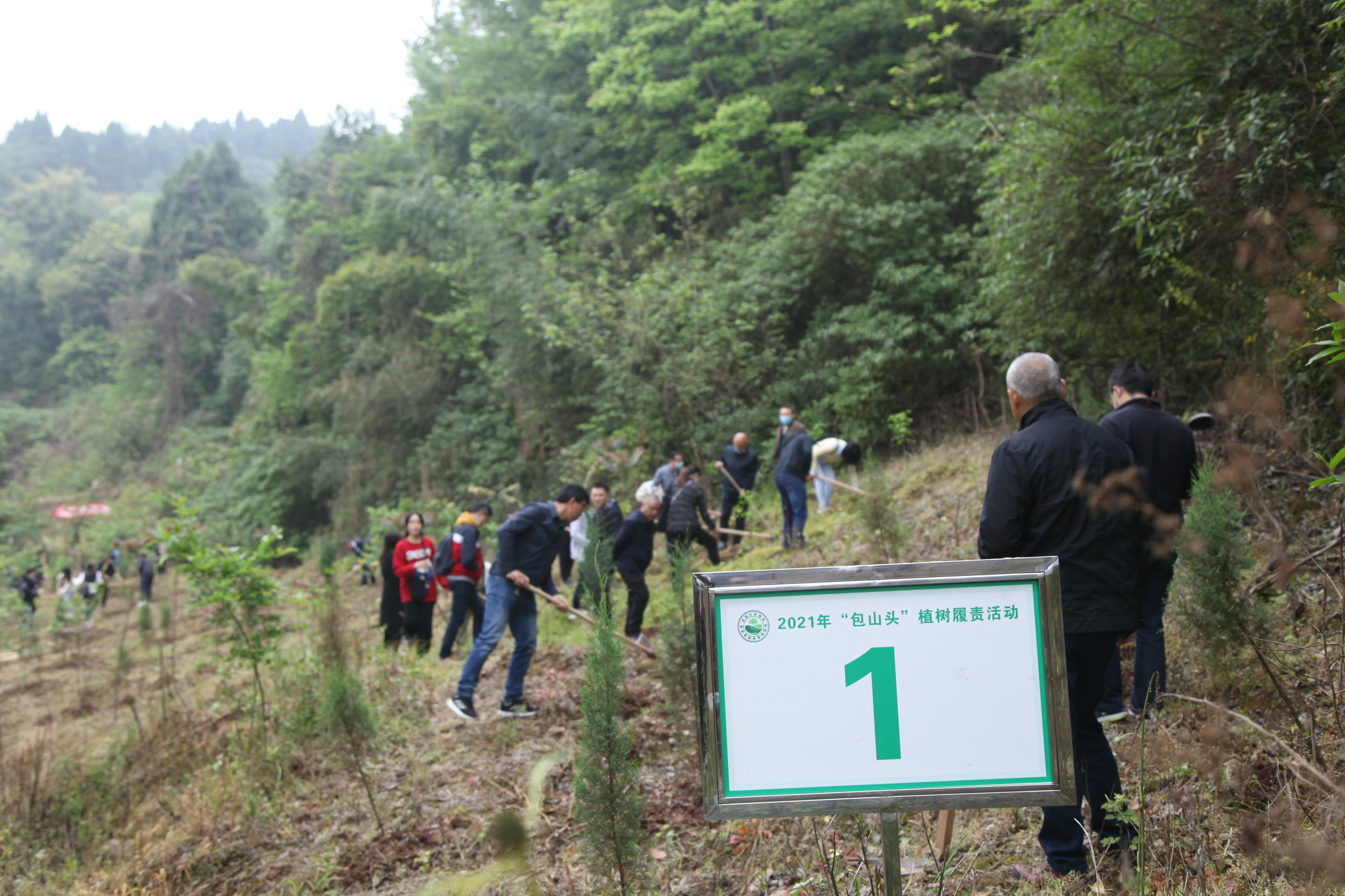 尊时凯龙·Z6(中国区)人生就是拼搏!