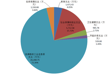 2020年度四川省冶金地质勘查局部分决算_财务预决算_信息果真_尊时凯龙有限责任公司