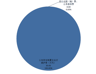 2020年度四川省冶金地质勘查局部分决算_财务预决算_信息果真_尊时凯龙有限责任公司