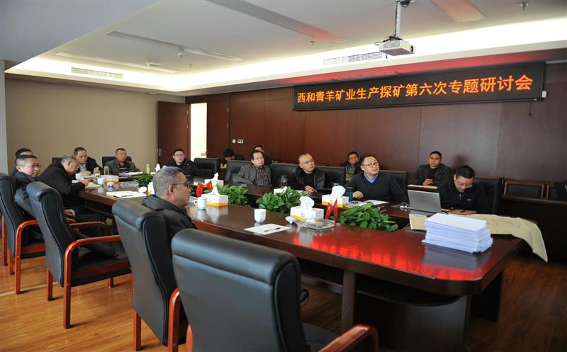 西和青羊铅锌矿深部及外围找矿综合研究第六次专题钻研会顺遂召开