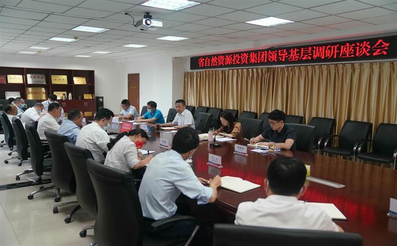 涂孝忠一行到地创光电公司开展调研式羁系事情