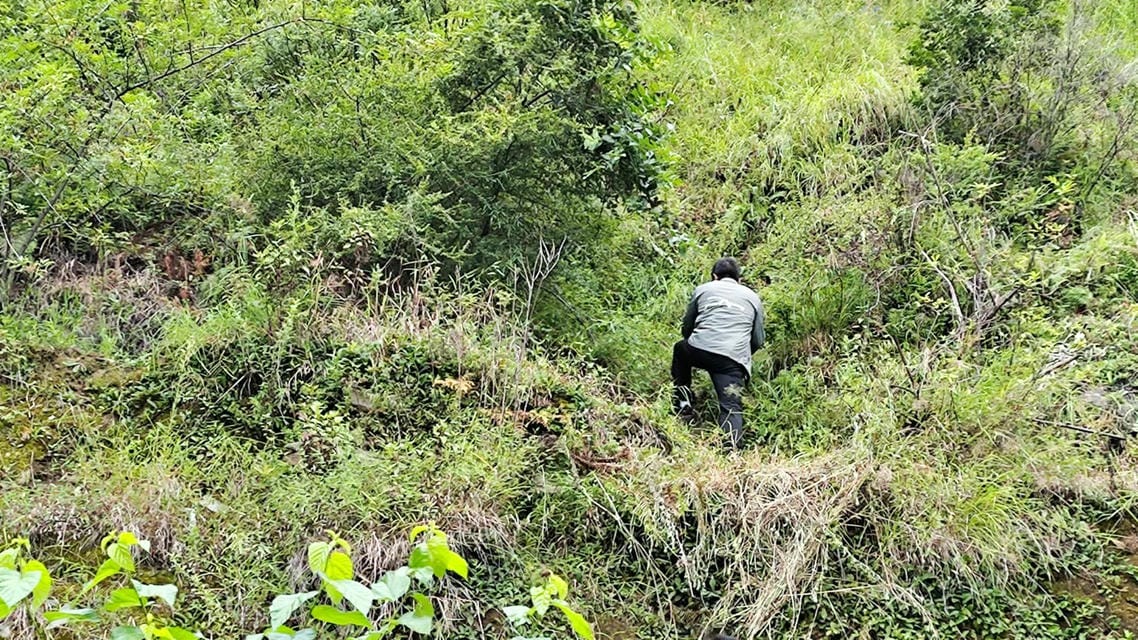 尊时凯龙·Z6(中国区)人生就是拼搏!