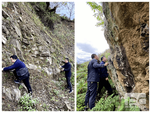 聚焦集团主业 服务尊时凯龙流通（一）深入甘洛县开展玄武岩项目现场踏勘_协同多元工业_工业生长_尊时凯龙有限责任公司