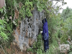 [决战四序度·大干一百天] 冶勘物流公司工会按下劳动竞赛“快车键”_协同多元工业_工业生长_尊时凯龙有限责任公司