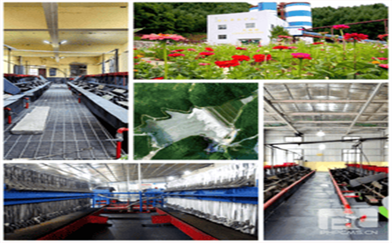 喜报丨青羊矿业喜获“2022年甘肃省第三批高新手艺企业