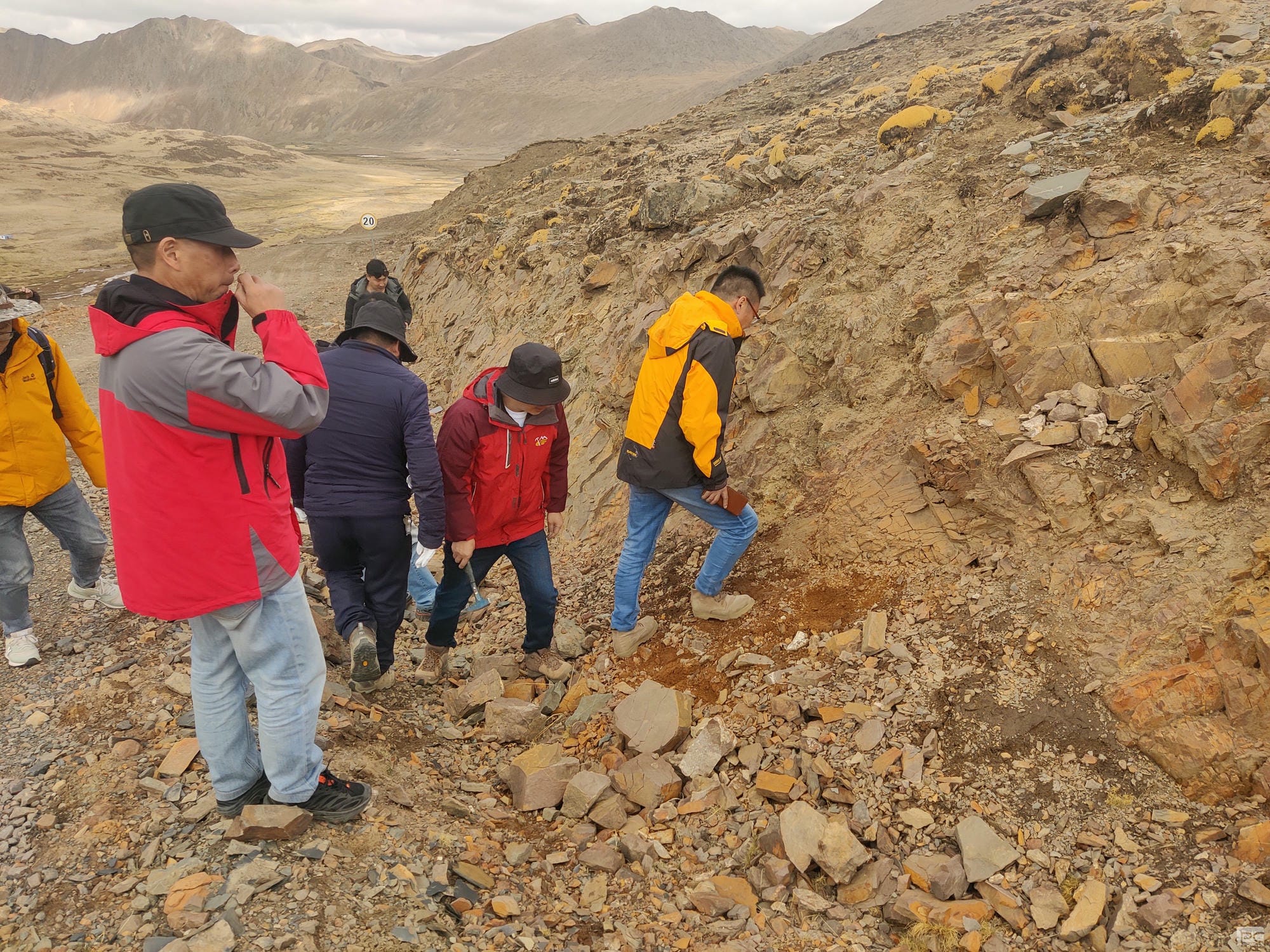 尊时凯龙·Z6(中国区)人生就是拼搏!