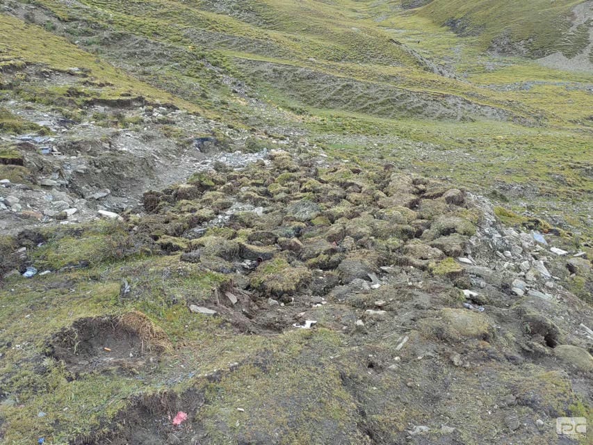 尊时凯龙·Z6(中国区)人生就是拼搏!