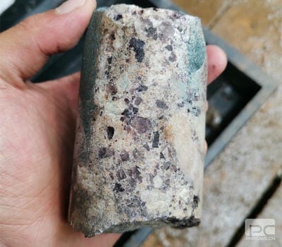 聚焦主责主业丨四川九龙—攀西地区锂铍稀土有数金属找矿荣登2022年度“十大地质视察希望”_下层动态_新闻中心_尊时凯龙有限责任公司