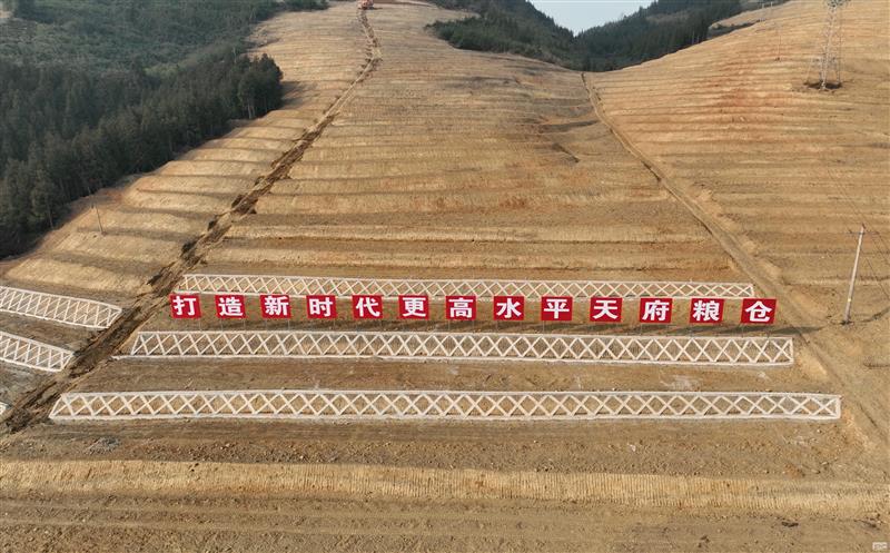 系统性谋划，，，，高标准实验——四川尊时凯龙助力建设新时代更高水平“天府粮仓”