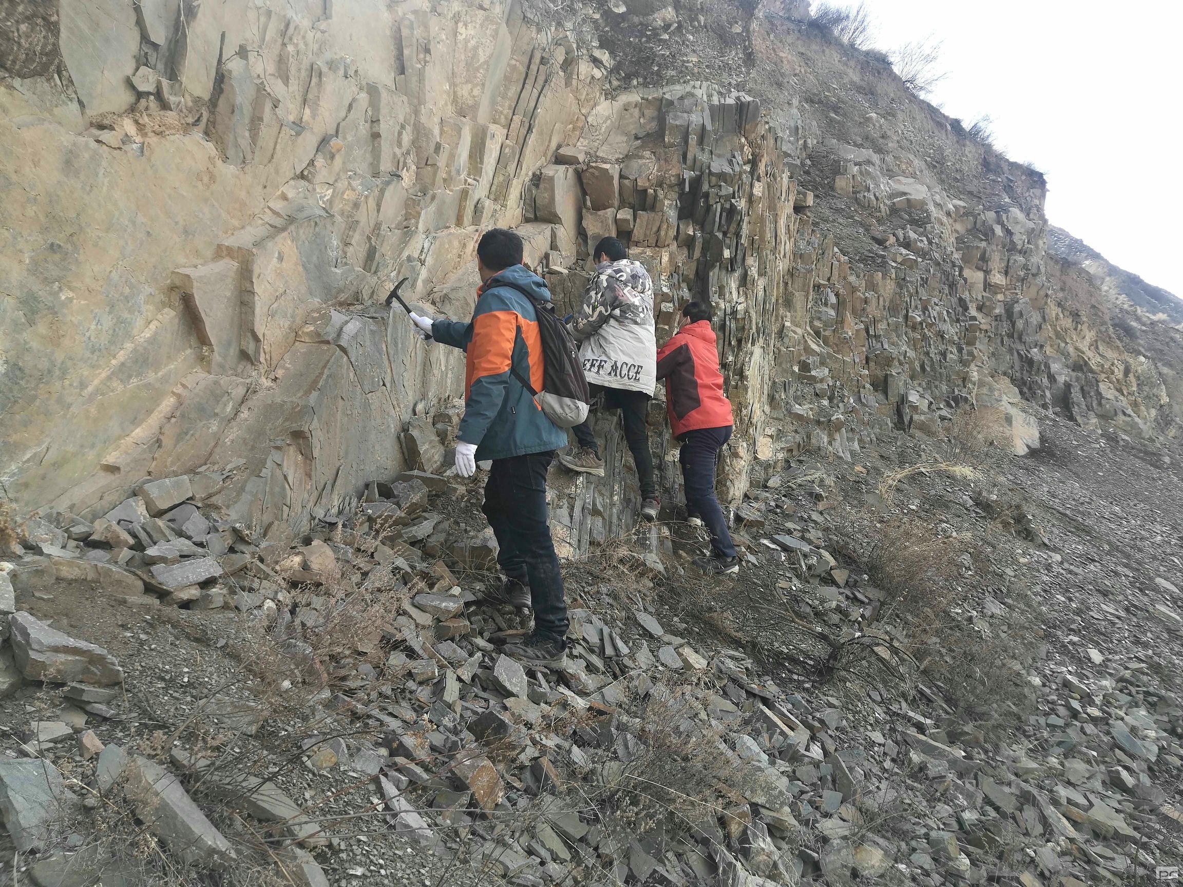 尊时凯龙·Z6(中国区)人生就是拼搏!