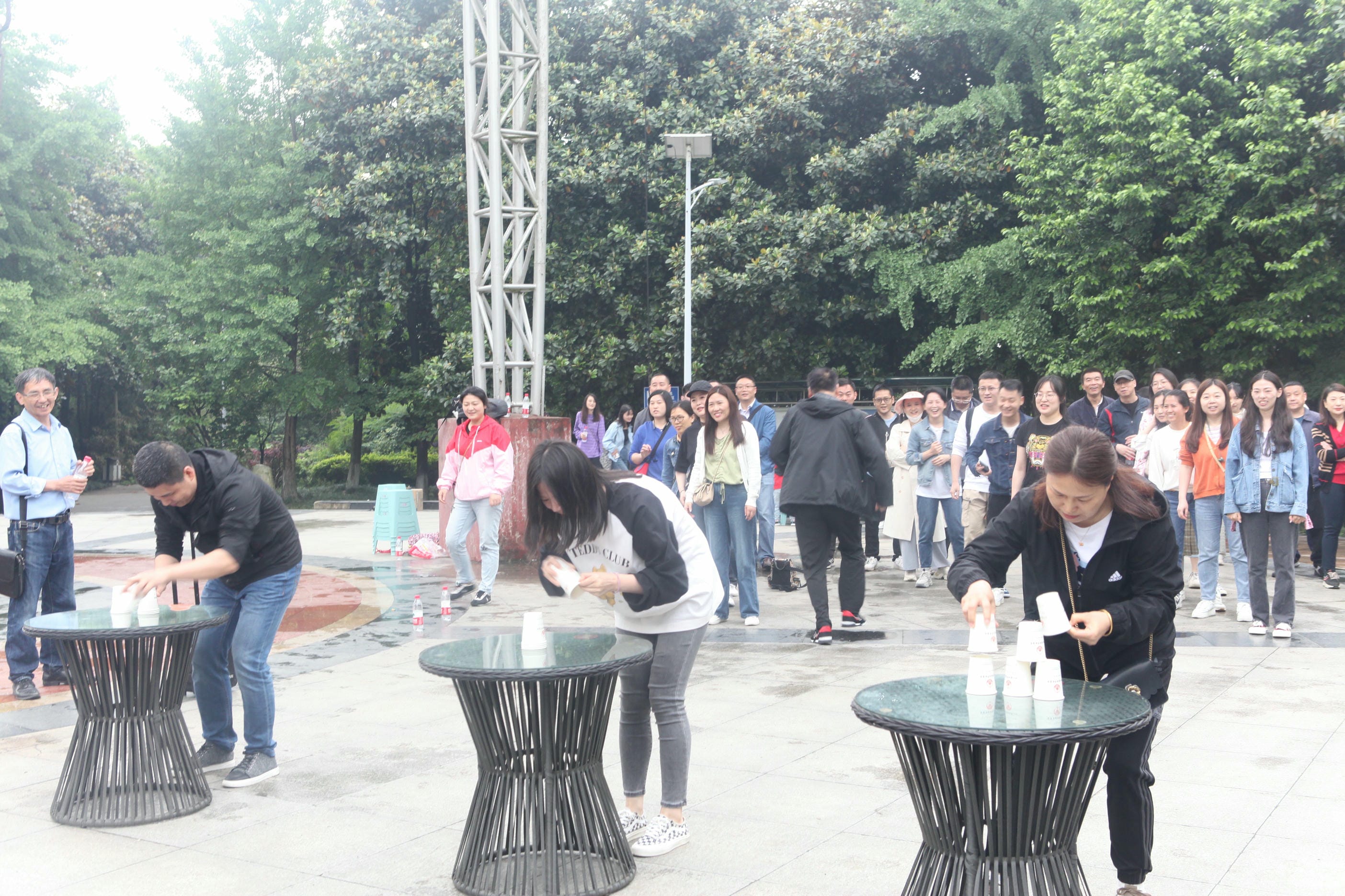 尊时凯龙·Z6(中国区)人生就是拼搏!