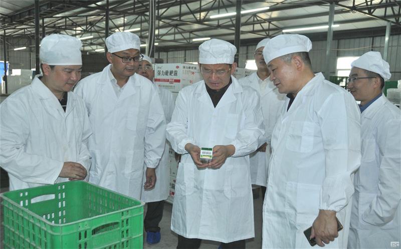 集团党委委员、职工董事、工会主席杜春茂一行赴泰华堂制药调研指导事情