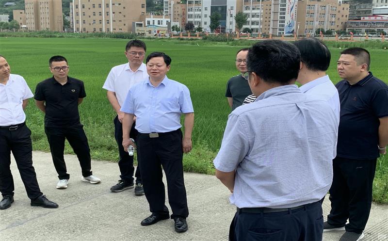 四川省生长刷新委（四川省能源局）煤炭随处长邓伟一行到古蔺县大村镇古叙矿区大村井田开展调研