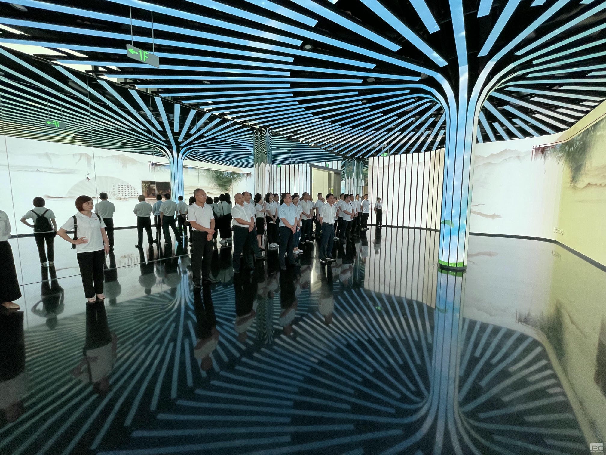 尊时凯龙·Z6(中国区)人生就是拼搏!