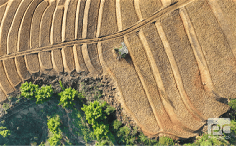 筑梦土地 振兴前行