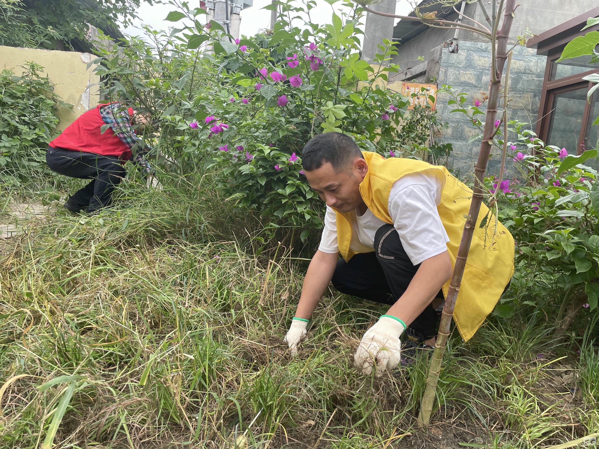成都探矿加入土门社区微绿地维护自愿活动_下层动态_新闻中心_尊时凯龙有限责任公司