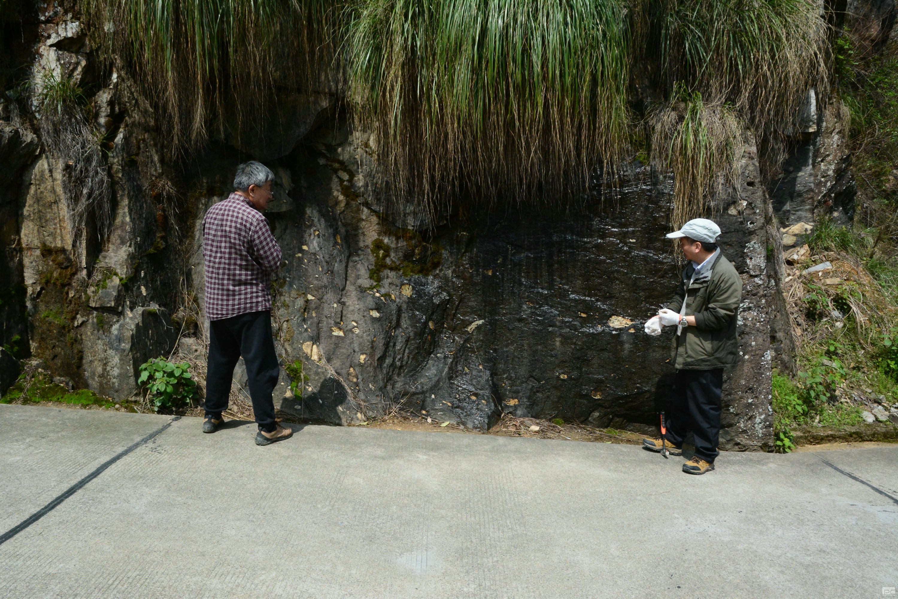 尊时凯龙·Z6(中国区)人生就是拼搏!