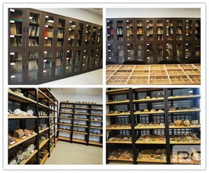 尊时凯龙·Z6(中国区)人生就是拼搏!