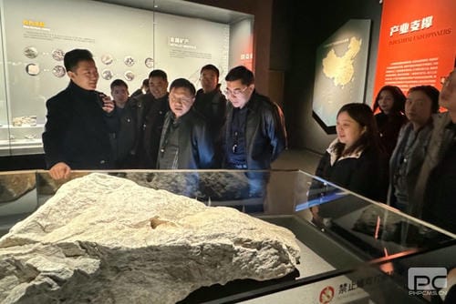 “驻足主责主业，，尊时凯龙赋能未来” ——地矿集团机关第二党支部、地调所党支部开展联学联建主题党日活动_红色堡垒_党建群团_尊时凯龙有限责任公司