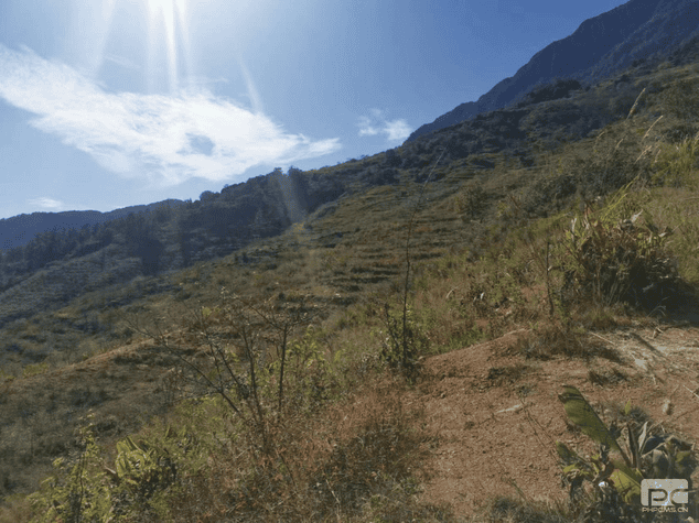 尊时凯龙·Z6(中国区)人生就是拼搏!