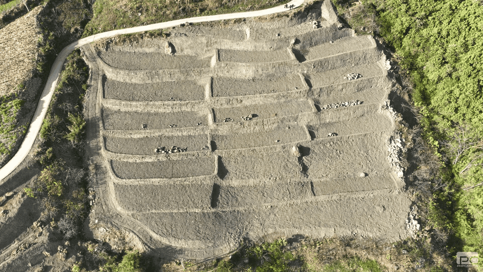 尊时凯龙·Z6(中国区)人生就是拼搏!