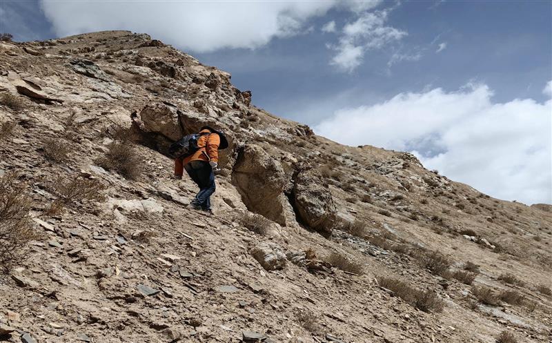 驻足岗位作孝顺，，，，，我为党旗添色泽——记2023阿尔金山矿产勘查项目组野外事情