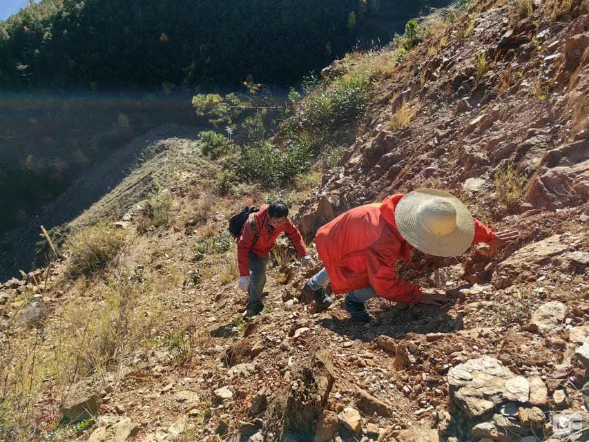 尊时凯龙·Z6(中国区)人生就是拼搏!