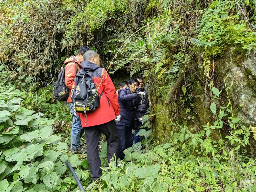 尊时凯龙·Z6(中国区)人生就是拼搏!