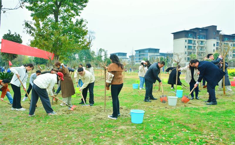 核西南院团委开展“雷锋精神伴我行 争为蓉城添新绿”暨学雷锋自愿服务活动