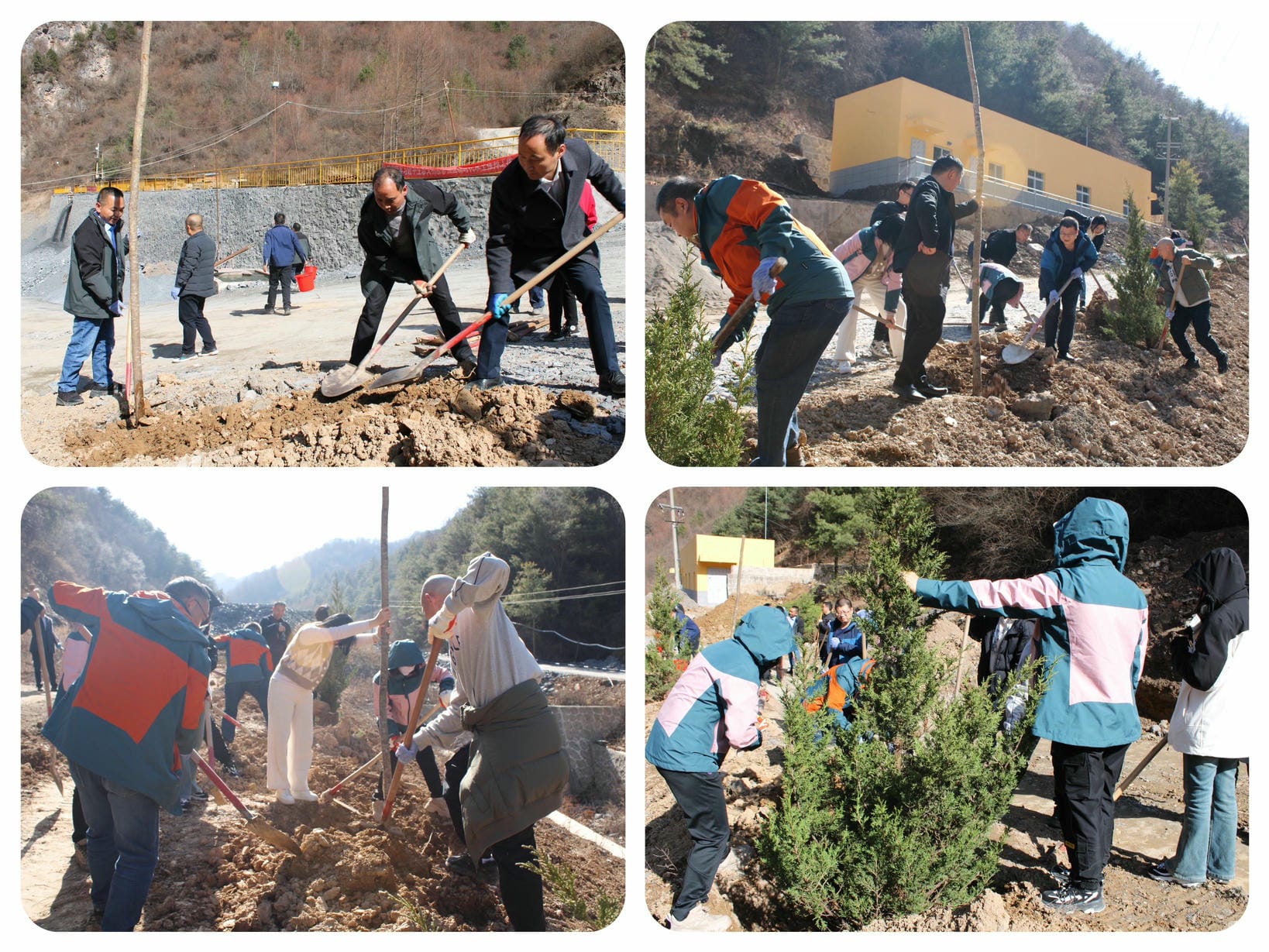 尊时凯龙·Z6(中国区)人生就是拼搏!