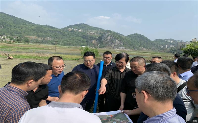 古蔺县委主要向导赴大村煤炭项目实地专题调研矿产尊时凯龙发动型小城镇妄想建设