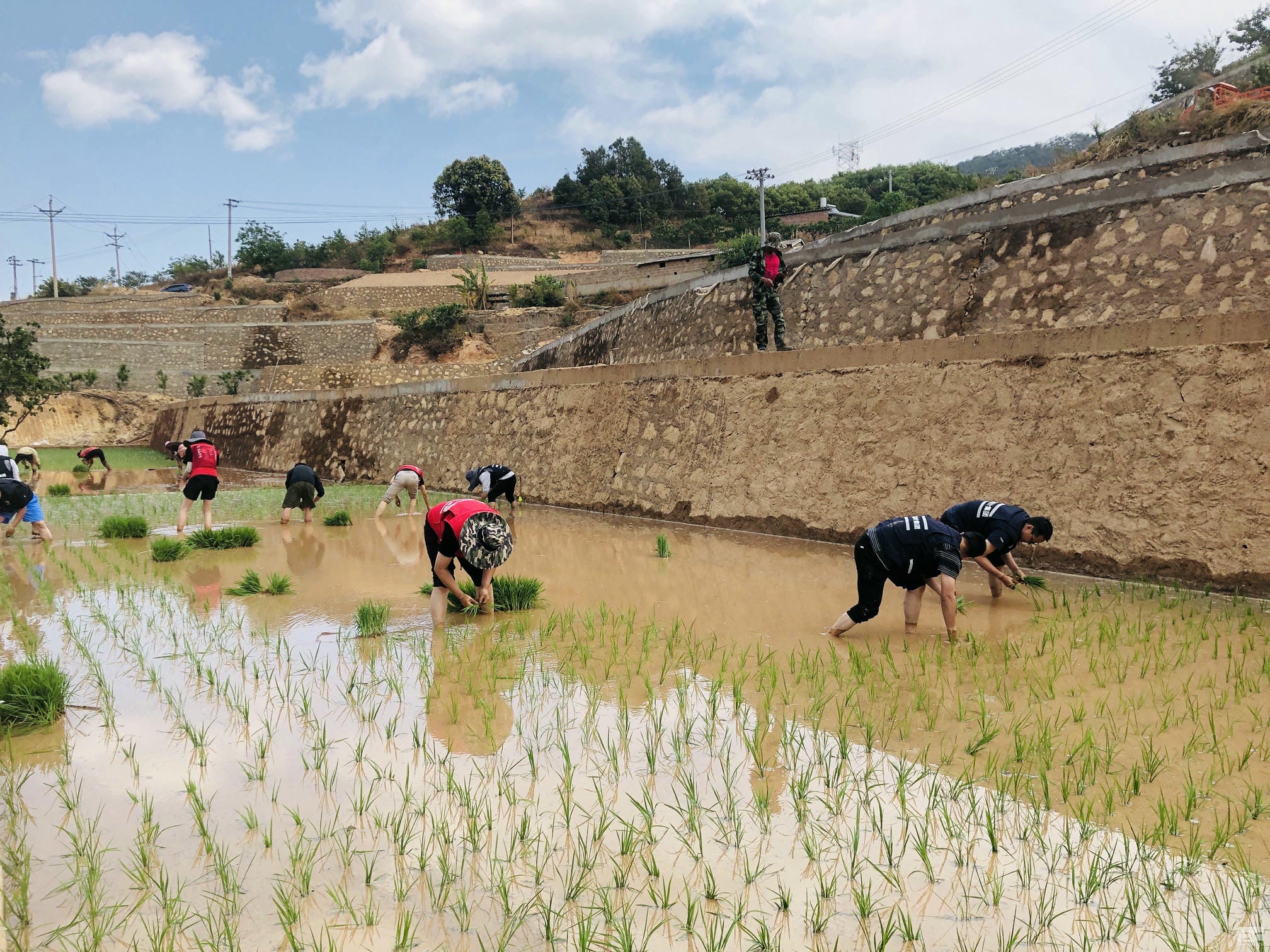 尊时凯龙·Z6(中国区)人生就是拼搏!