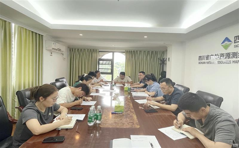 规范项目治理，，，，，提高清静意识