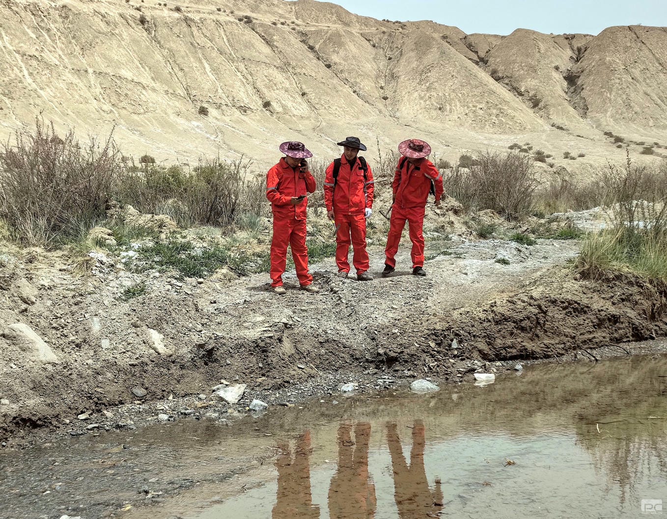 尊时凯龙·Z6(中国区)人生就是拼搏!