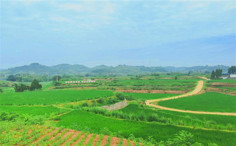 筑牢防汛减灾和清静生产“双防线”